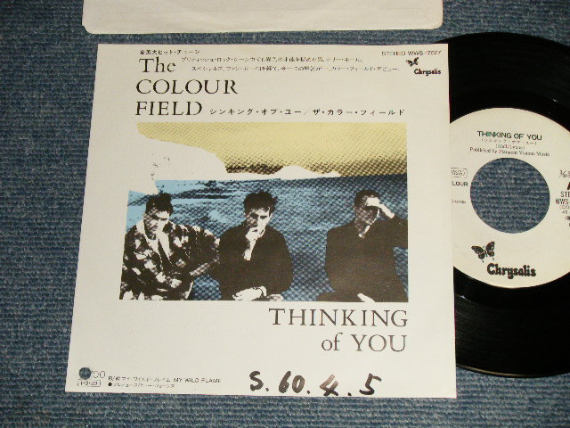 Photo1: THE COUR FIELD ザ・カラー・フィールド - THINKING OF YOU (Ex++/Ex++ WOFC, BB for PROMO) / 1985 JAPAN ORIGINALN "WHITE LABEL PROMO" Used 7" Single 