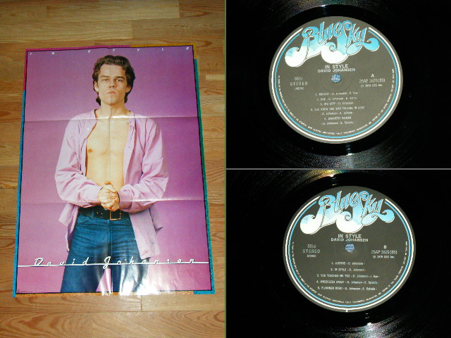 Photo: DAVID JOHNASEN ( of NEW YORK DOLLS ) - IN STYLE / 1979 JAPAN ORIGINAL Used  LP With OBI & POSTER 