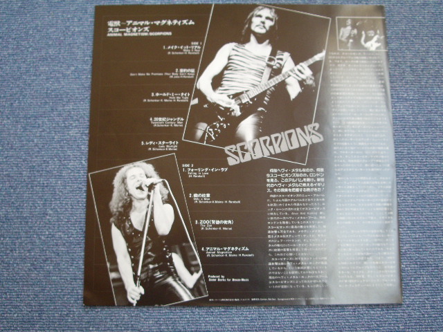 Photo: SCORPIONS - ANIMAL MAGNETISM /  1980 JAPAN WHITE LABEL PROMO LP w/OBI 