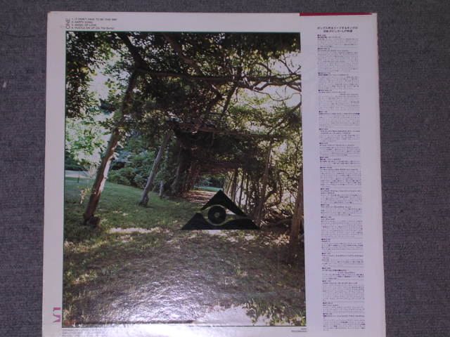 Photo: HIDDENJ STRENGTH - HIDDENJ STRENGTH  /  1976 JAPAN  LP With OBI 