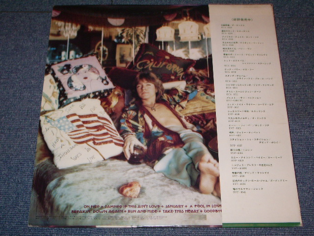 Photo: DAVID CASSIDY - HOME IS WHERE THE HEART IS   / 1976 JAPAN LP With OBI