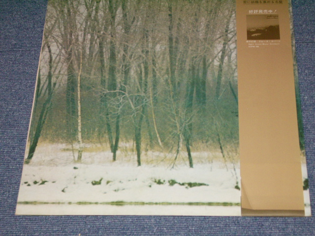 Photo: BRUCE COCKBURN - SALT, SUN & TIME /  1974 JAPAN ORIGINAL LP With OBI